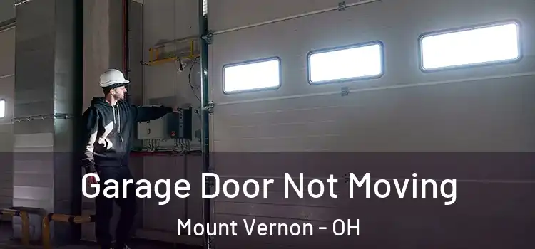  Garage Door Not Moving Mount Vernon - OH
